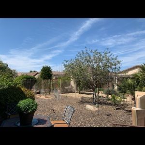 Meet your Posher, Ann